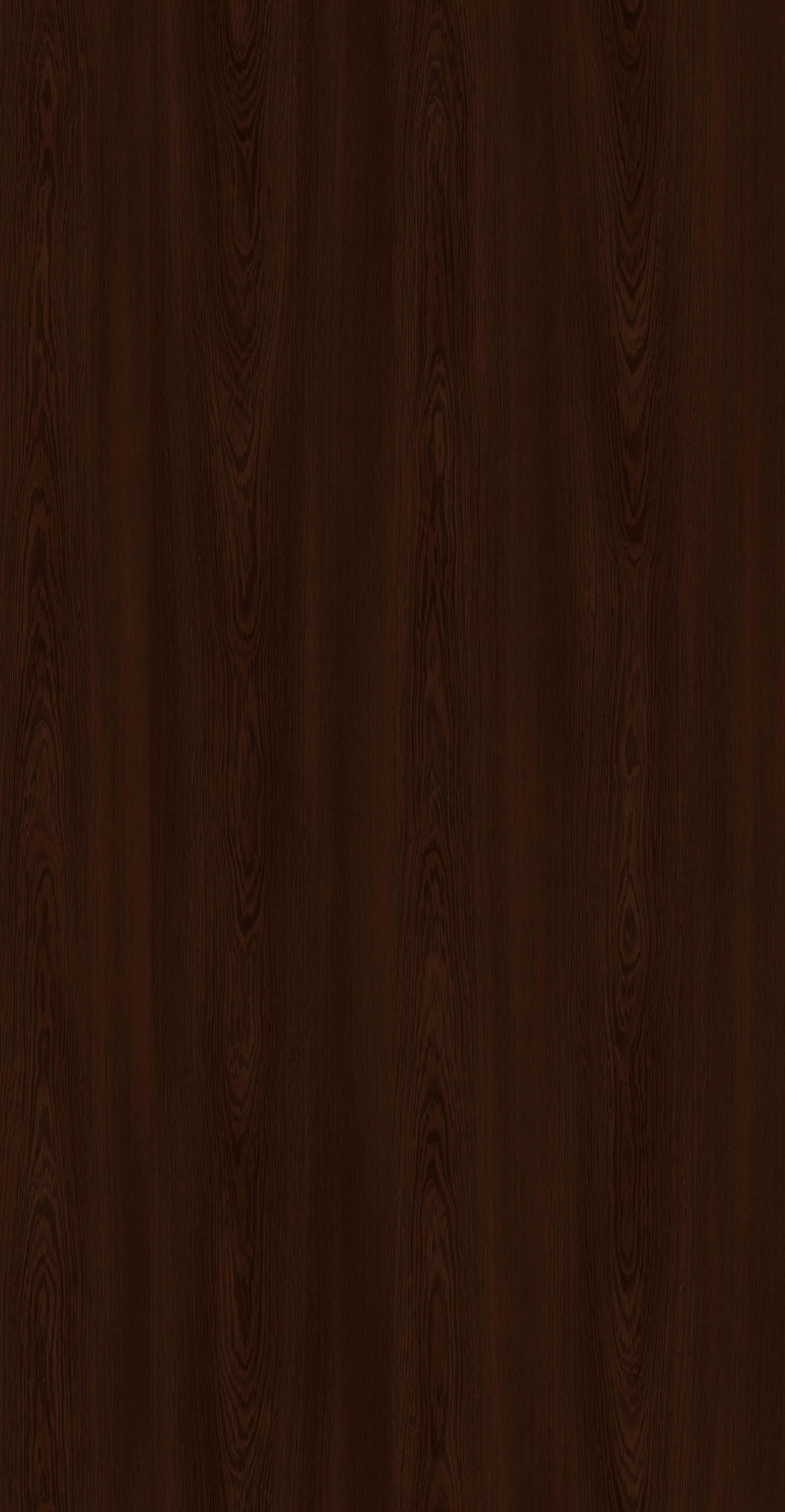 WENGE SORBES_1